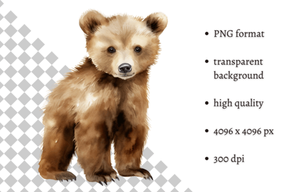 Download Watercolor Woodland Baby Bear Clipart - Woodland baby Collection