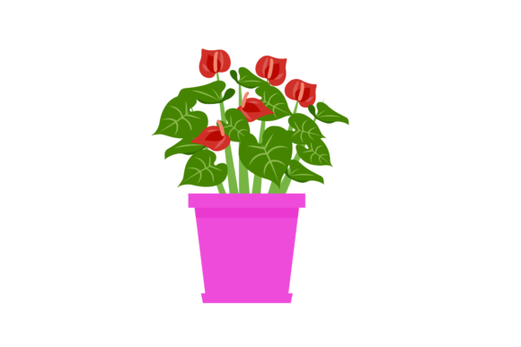 Download Houseplants Indoors - Premium Resources